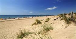 strand Egmond