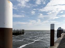 Texel_24