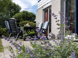 Ouddorp terras lavendel